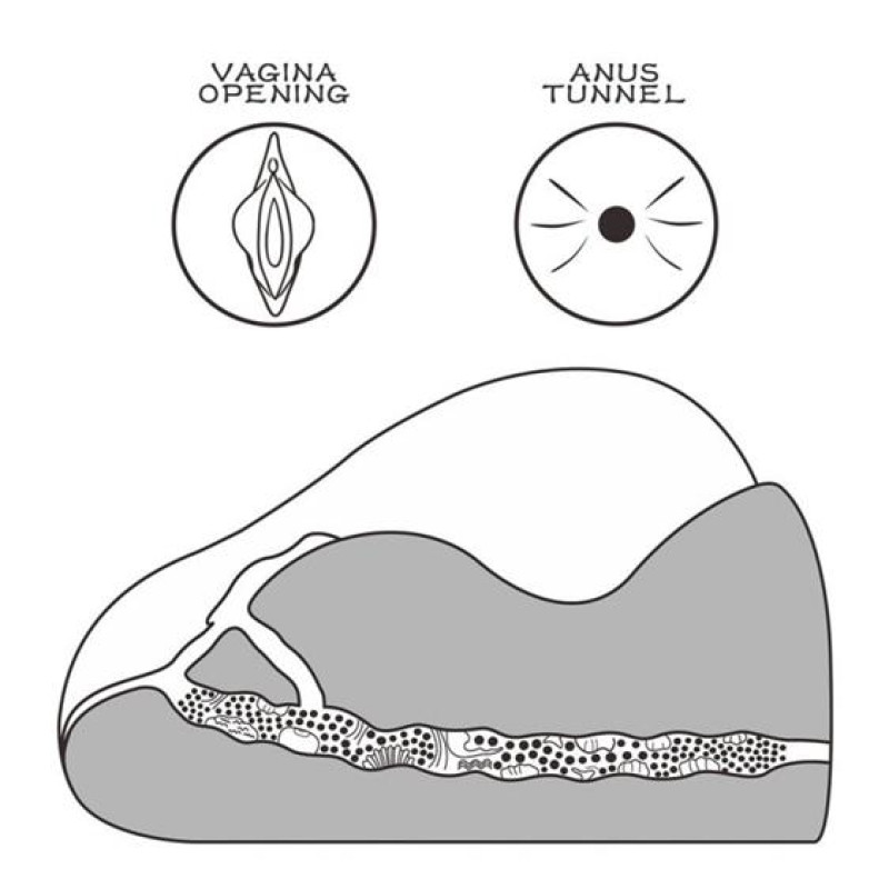 Мастурбатор LoveToy Streetgirl's #2 Black Мастурбатор LoveToy Streetgirl's #2 Black