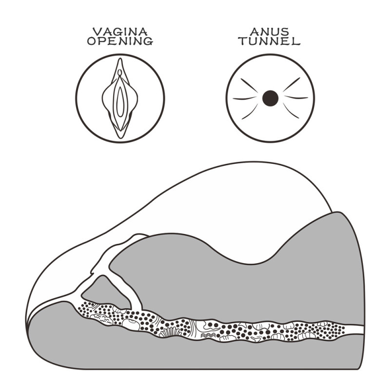 Мастурбатор LoveToy Streetgirl's #2 Flesh Мастурбатор LoveToy Streetgirl's #2 Flesh
