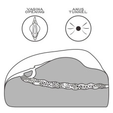 Мастурбатор LoveToy Streetgirl's #1 Black