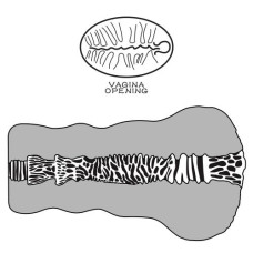 Мастурбатор LoveToy Alien's Pie Masturbator #2 Black