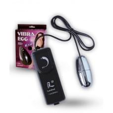 Виброяцйо LyBaile Silver Vibrating Egg