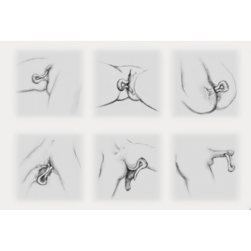 Анатомический вибратор Fun Toys Gvibe Mini Голубой