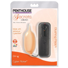 Виброяйцо Topco Sales Penthouse Secrets Cyber Flicker Peach