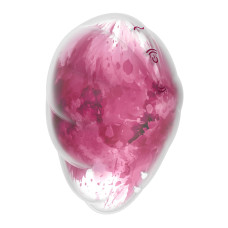 Вакуумний стимулятор з вібрацією Satisfyer Cloud Dancer Red