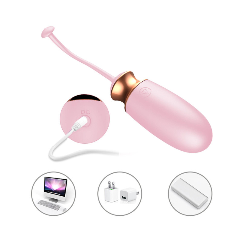 Виброяйцо B - Series Fox Vibrating Silicone Love Egg, USB, 10 Function, Heating, Voice Control Pink