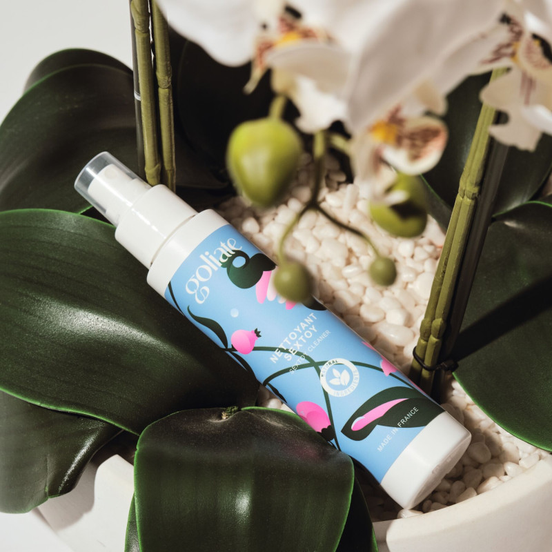 Антибактериальный спрей для игрушек Goliate Nettoyant Sextoy 100 мл, безопасен для тела